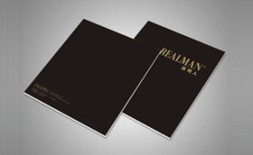 字體中國畫冊(cè)設(shè)計(jì)案例 成功案例解析與企業(yè)形象策劃的完美融合